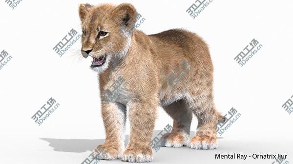 images/goods_img/20210312/Baby Lion Furry 3D/5.jpg